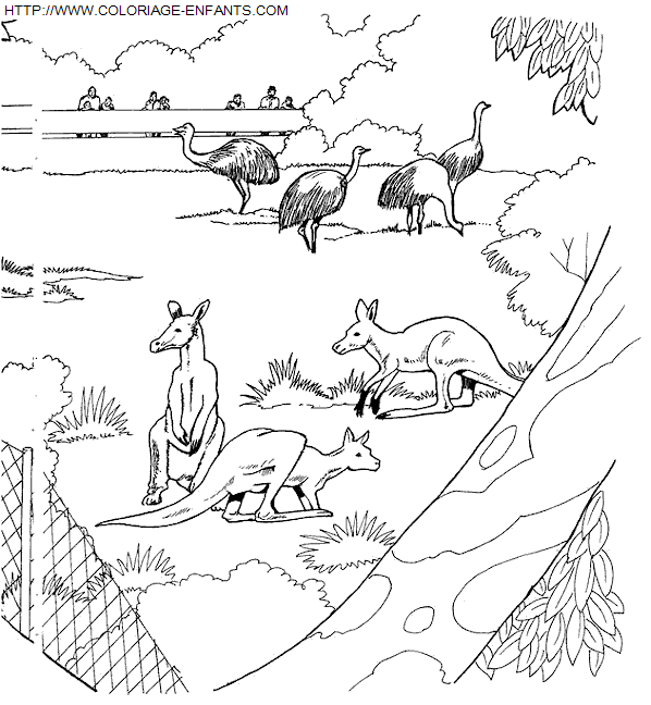 Zoo coloring
