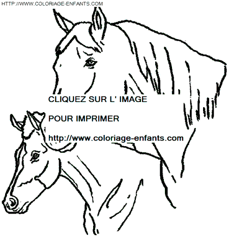 Horse coloring