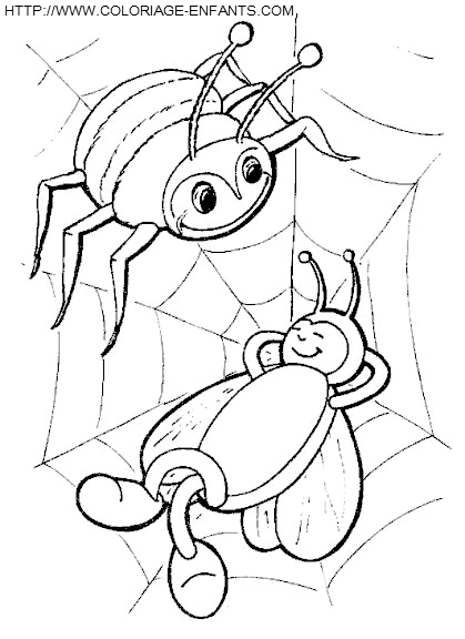 Spiders coloring