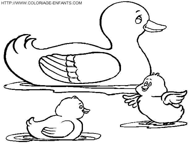 Ducks coloring