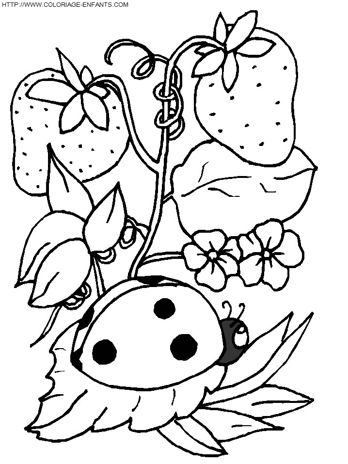 Lady Bugs coloring