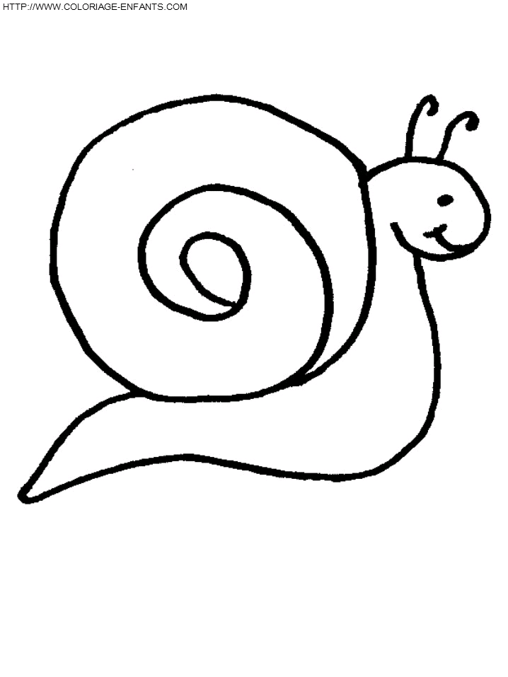 Snails coloring