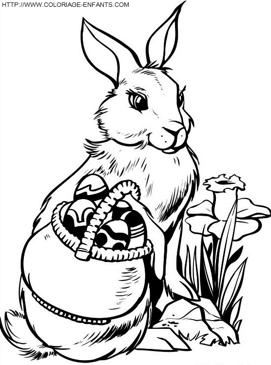 Easter Rabbits coloring