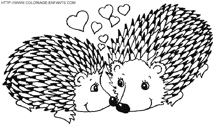 Porcupines coloring