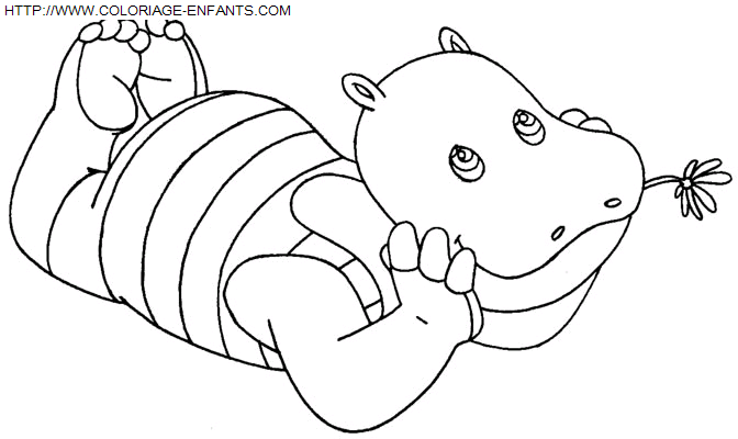 Little Hippo coloring