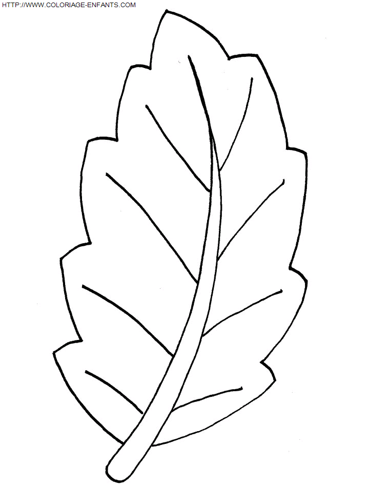 Leaves coloring
