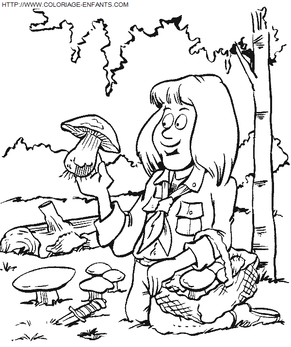 Scouts coloring