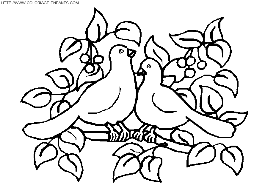 Birds coloring