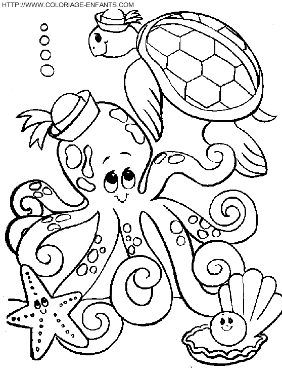 Octopus coloring