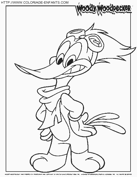 Woody Woodpecker coloring