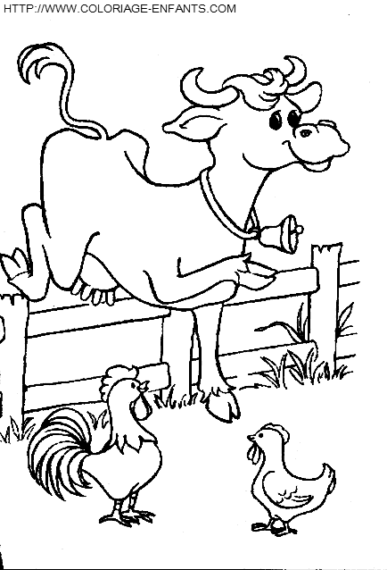 Cows coloring