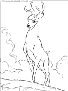 bambi2 coloring book pages