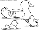 ducks coloring