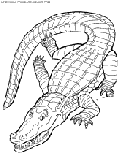 crocodiles coloring
