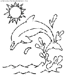 dolphins coloring