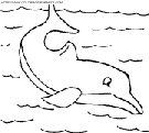 dolphins coloring
