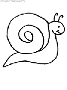 snails coloring