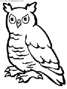 owls coloring