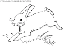 rabbits coloring book pages