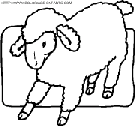 sheep coloring