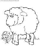 sheep coloring