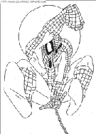 spiderman coloring