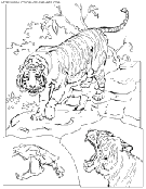 tiger coloring book pages