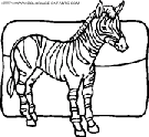 zebras coloring